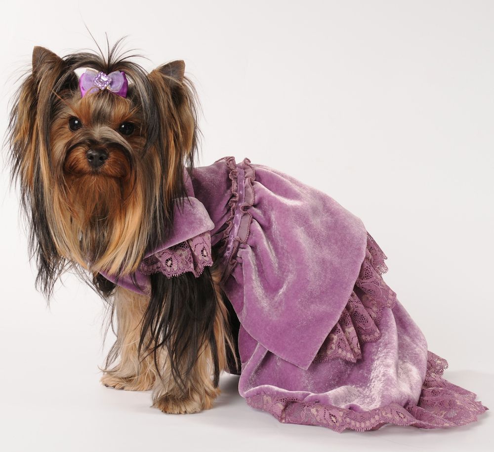 The Gossip Column: January 27, 2023